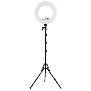 Светодиодная кольцевая лампа Pro Light (серебряная), 1 шт
